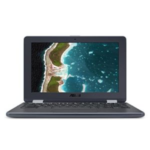 ASUS Chromebook FLIP C213SA-YS02